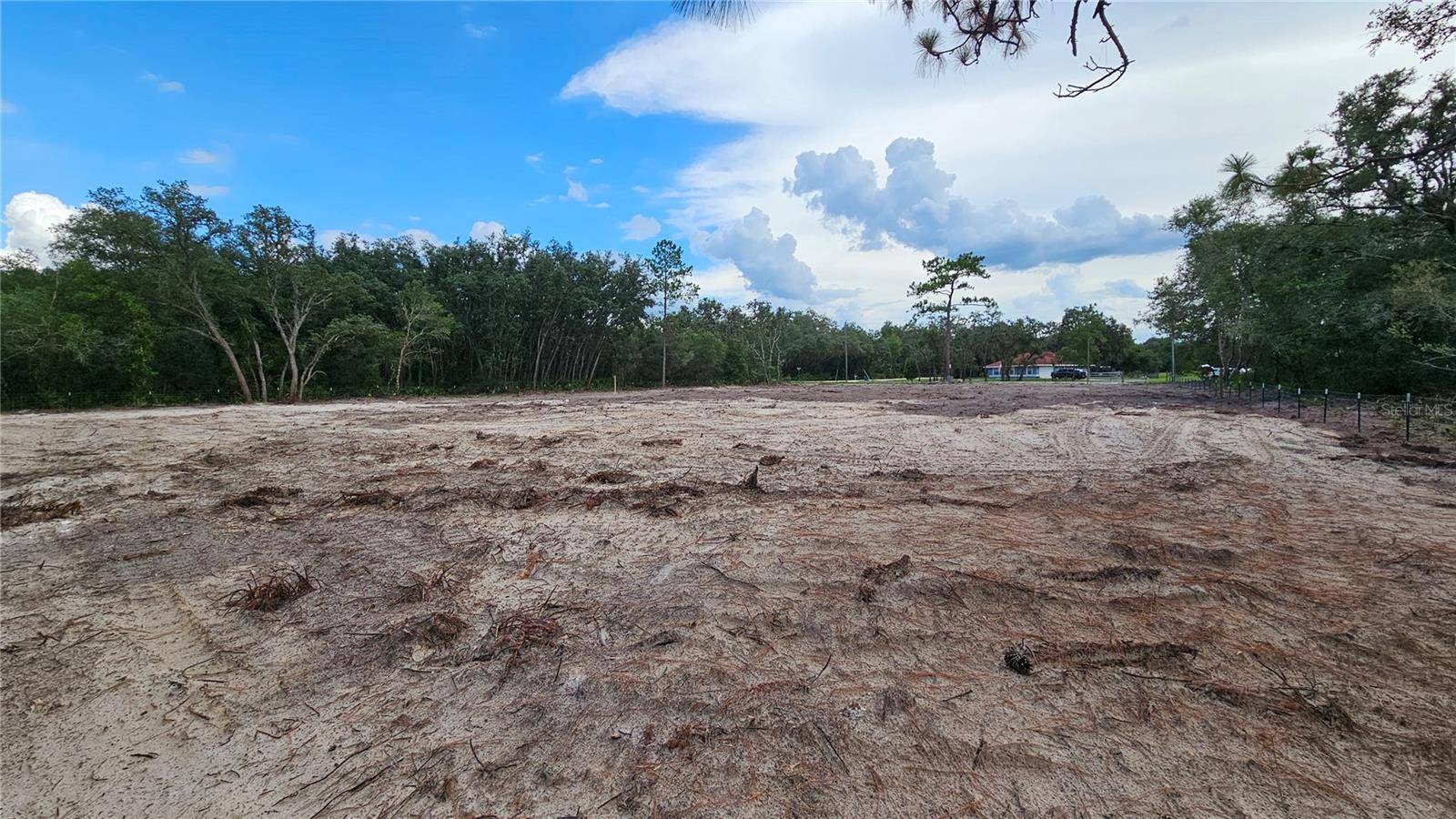 35391 OVERCUP DR, Webster, FL 33597