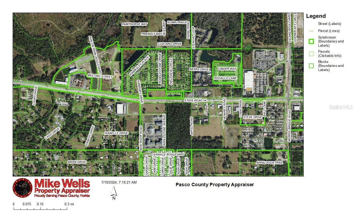 4240 LOURY DR, Wesley Chapel, FL 33543