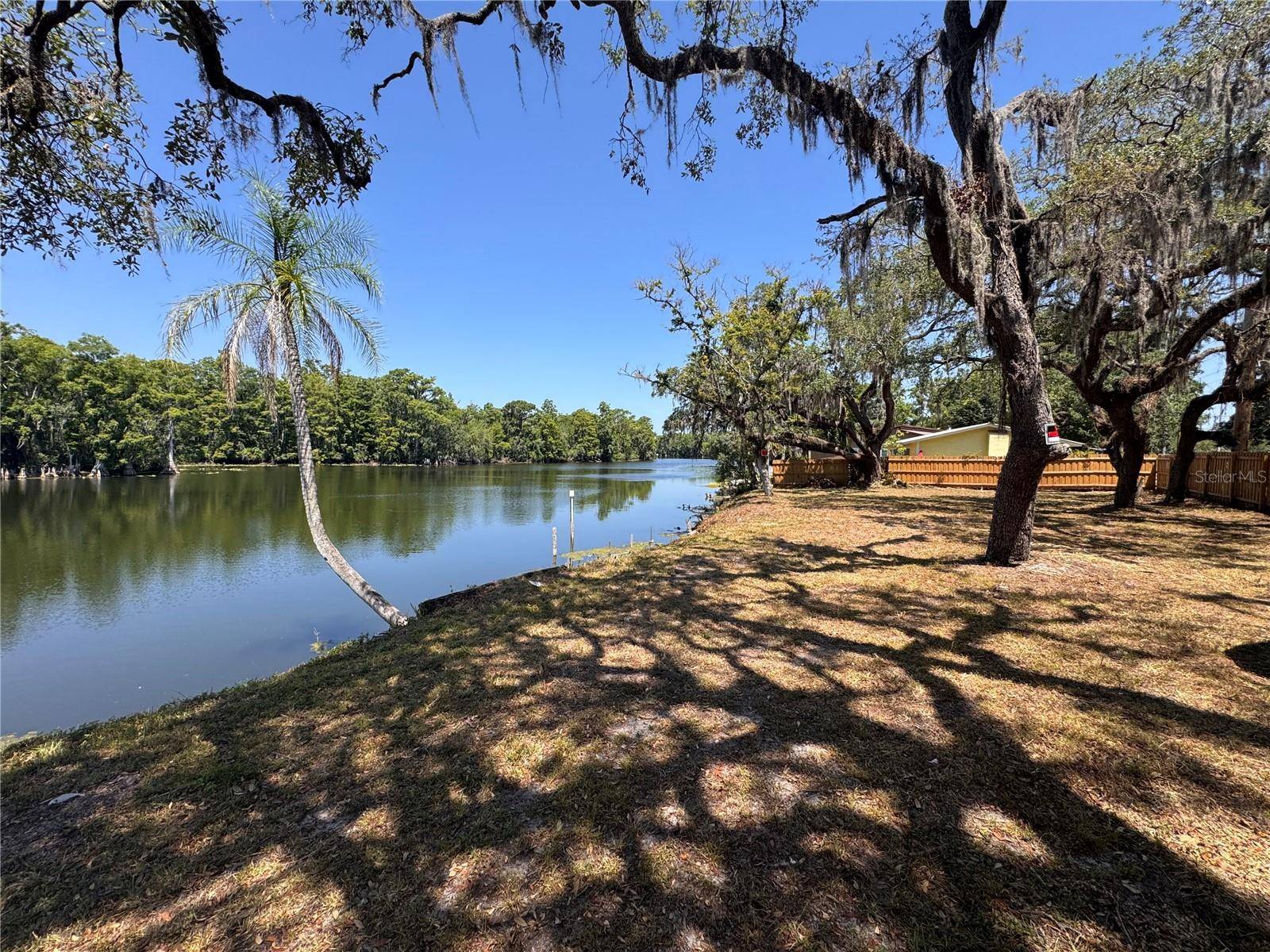 HARNEY, Tampa, FL 33617