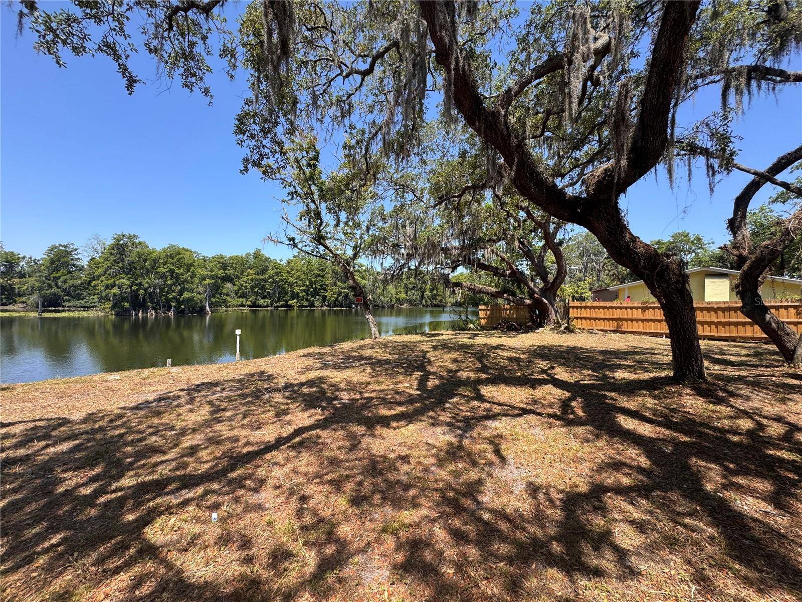 HARNEY, Tampa, FL 33617