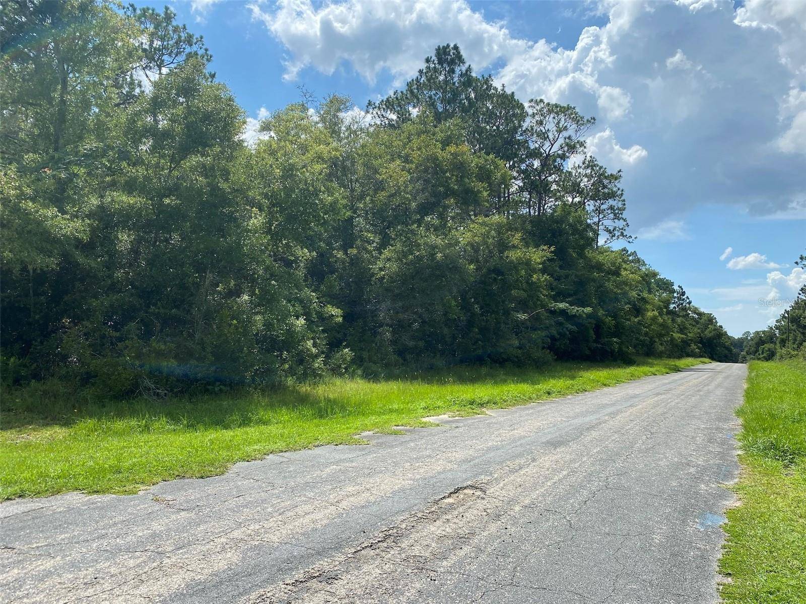 8739 N UPLAND DR, Citrus Springs, FL 34434