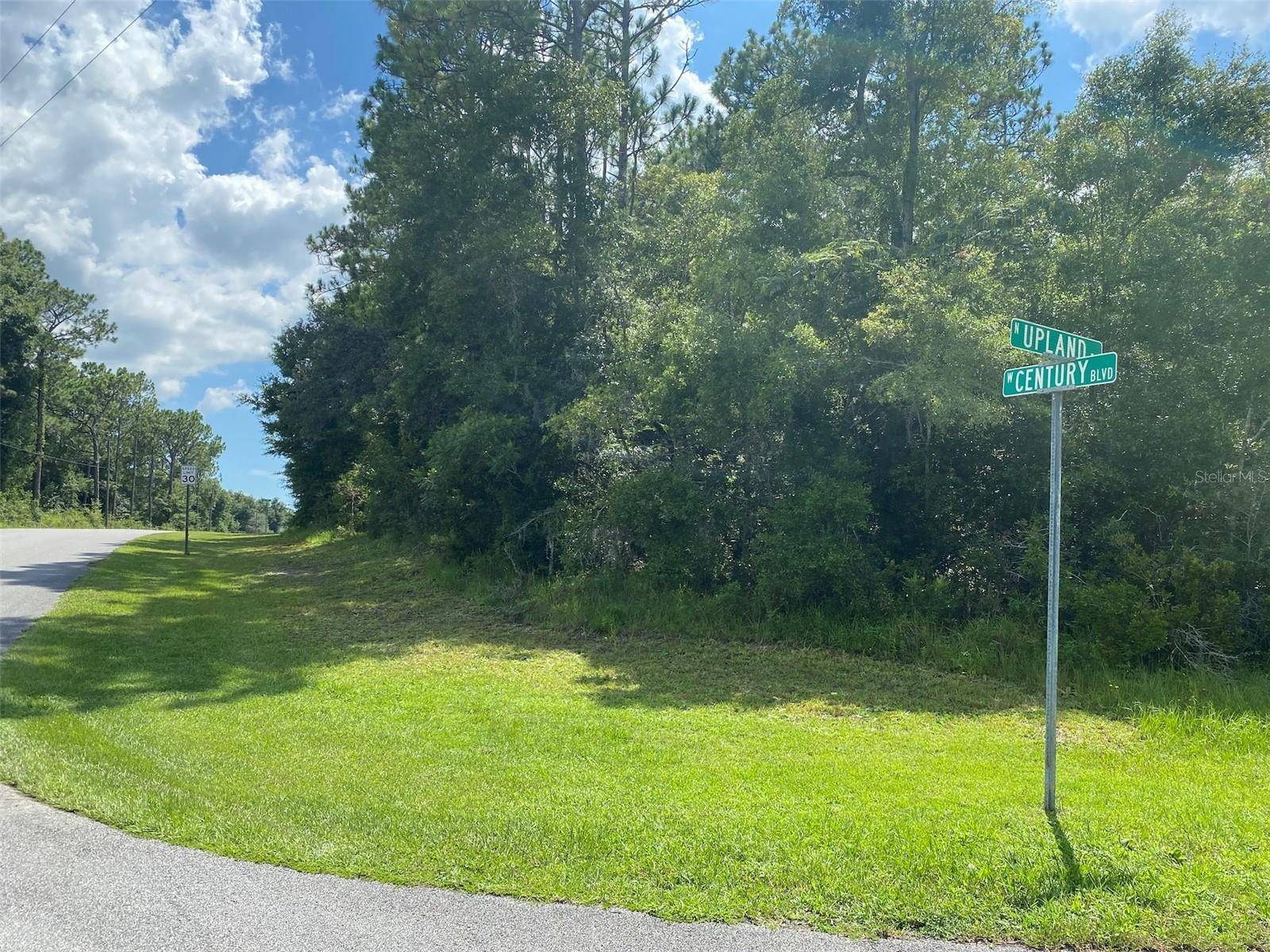 8739 N UPLAND DR, Citrus Springs, FL 34434