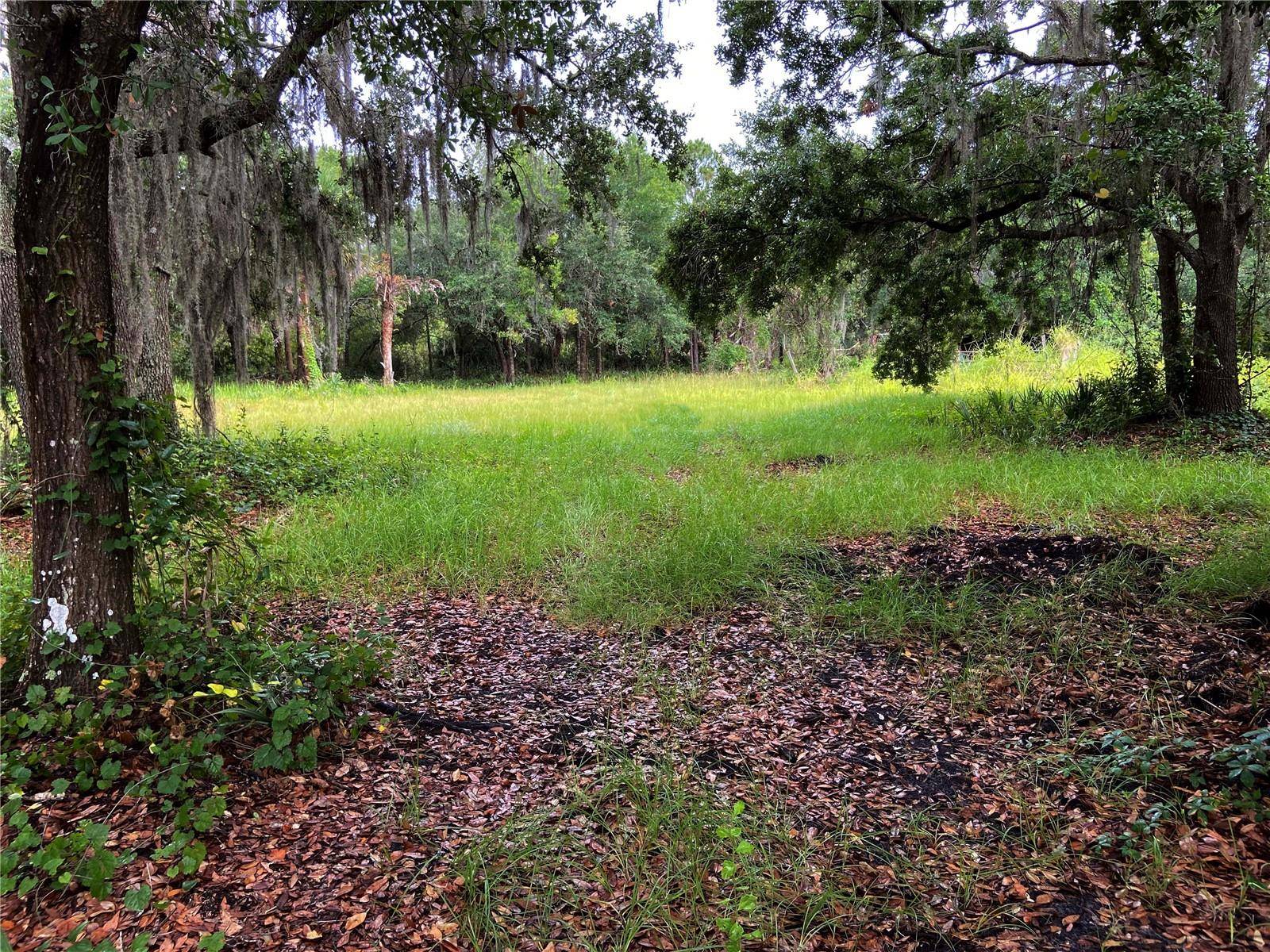 LIGHTFOOT RD, Wimauma, FL 33598