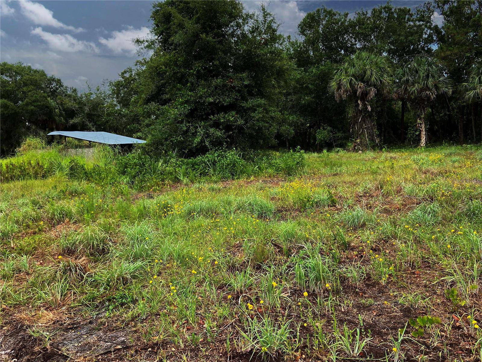 LIGHTFOOT RD, Wimauma, FL 33598