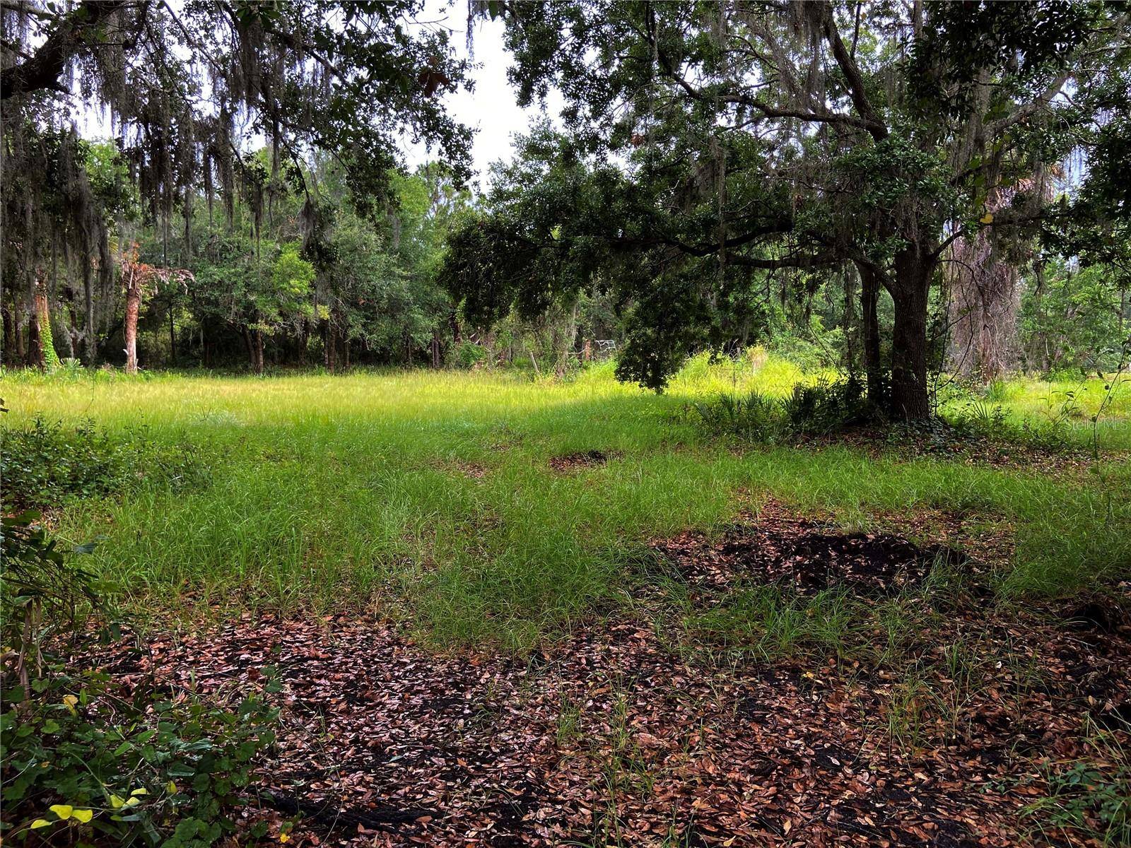 LIGHTFOOT RD, Wimauma, FL 33598