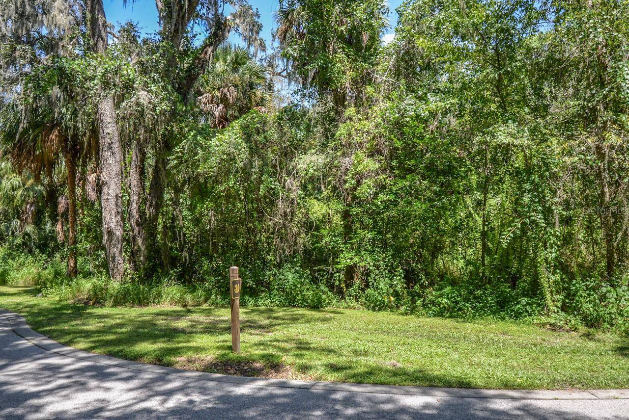 4808 RAMBLING RIVER RD, Brandon, FL 33511