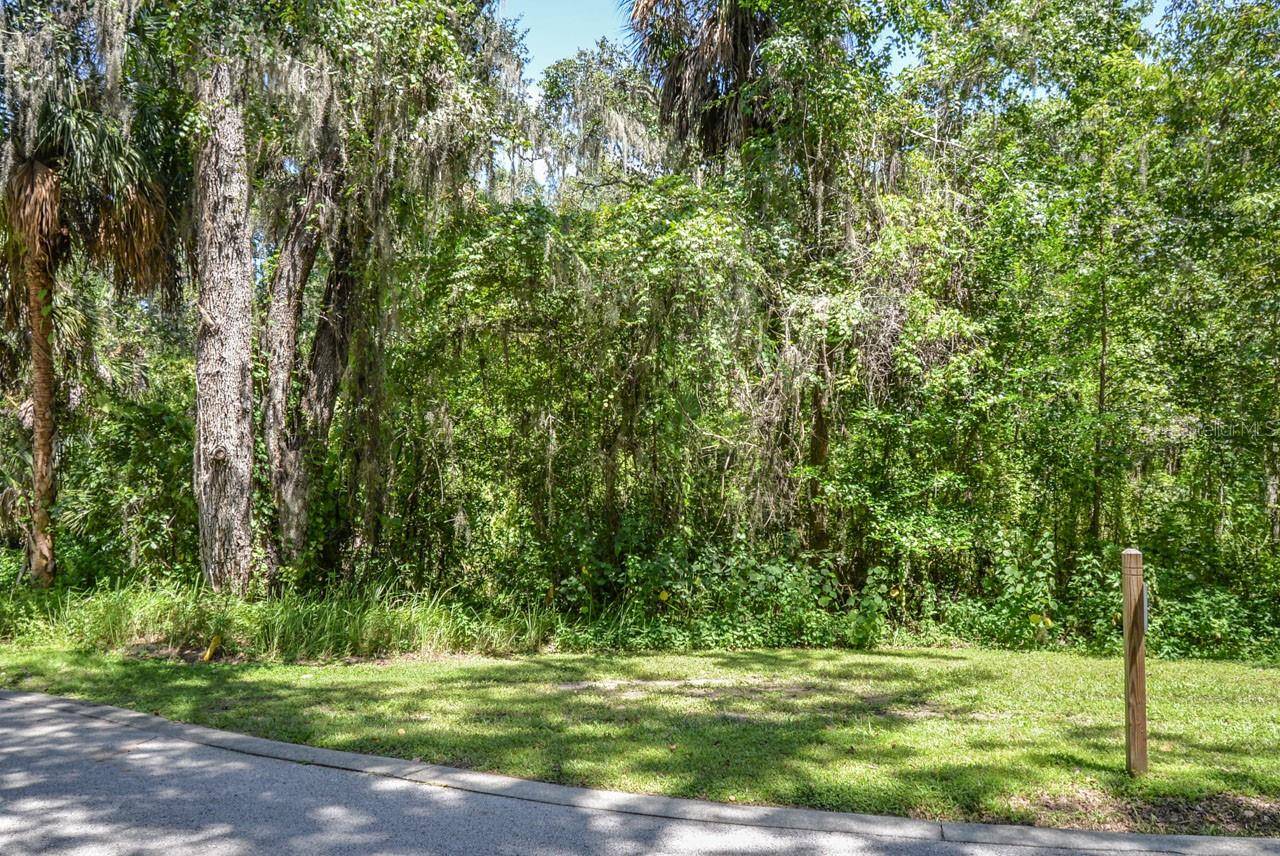 4808 RAMBLING RIVER RD, Brandon, FL 33511