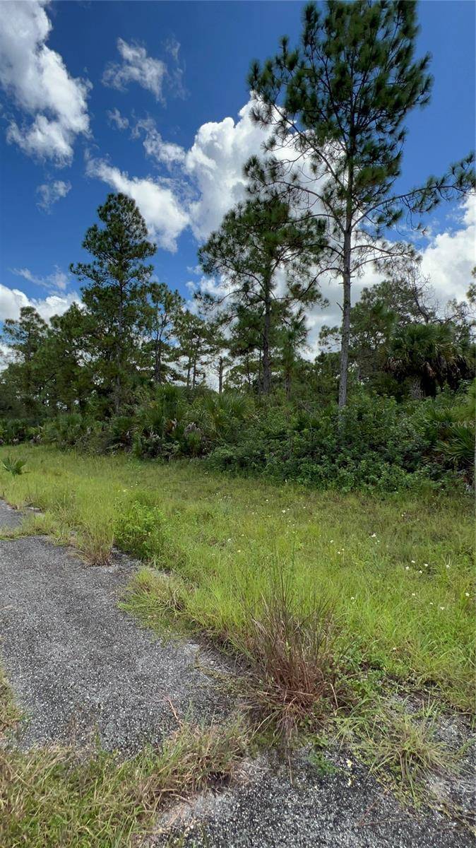 313 JAMES IRWIN TER, Labelle, FL 33935