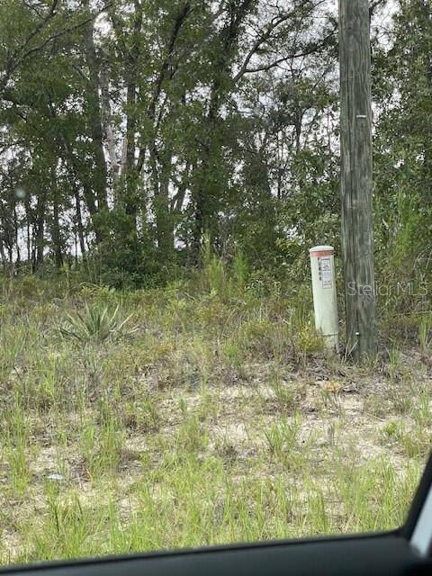 2466 W RUTLAND DR, Citrus Springs, FL 34434