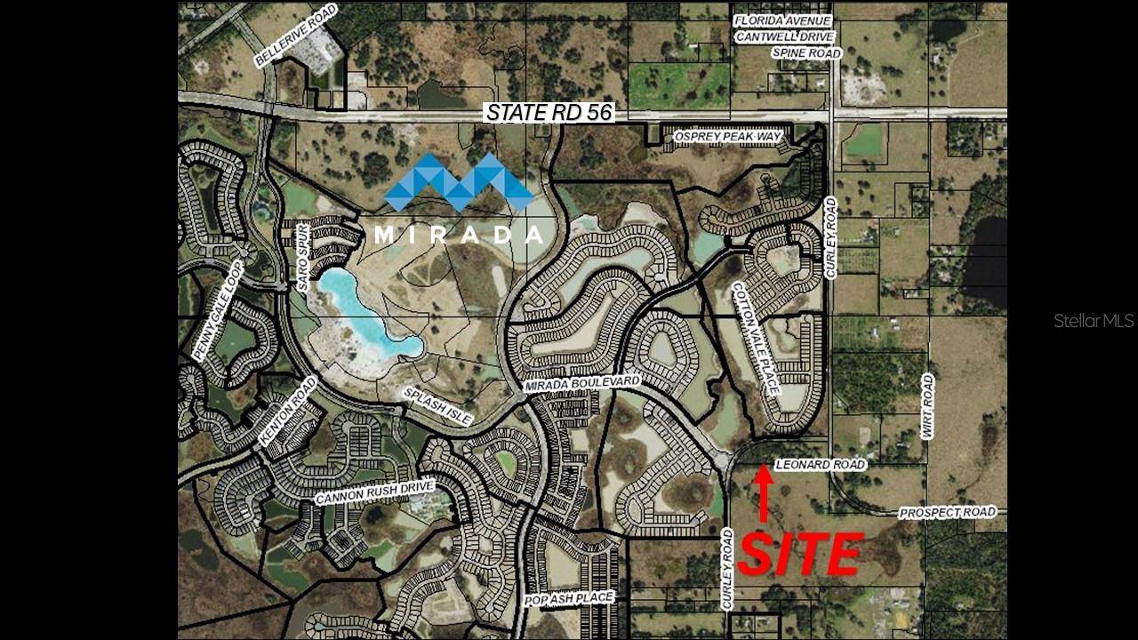 32551 LEONARD RD, San Antonio, FL 33576