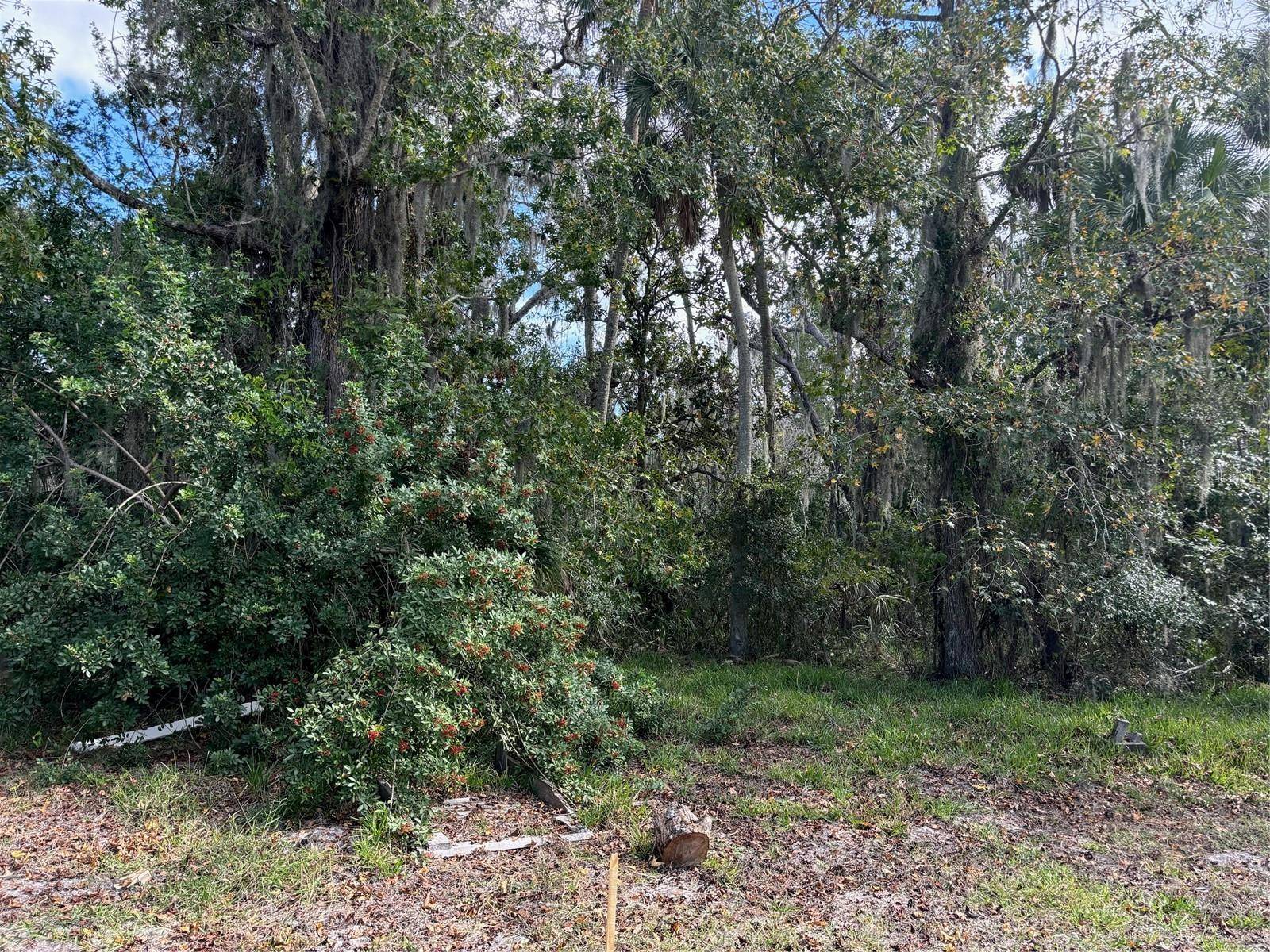 0 KOLB PL, Hudson, FL 34667