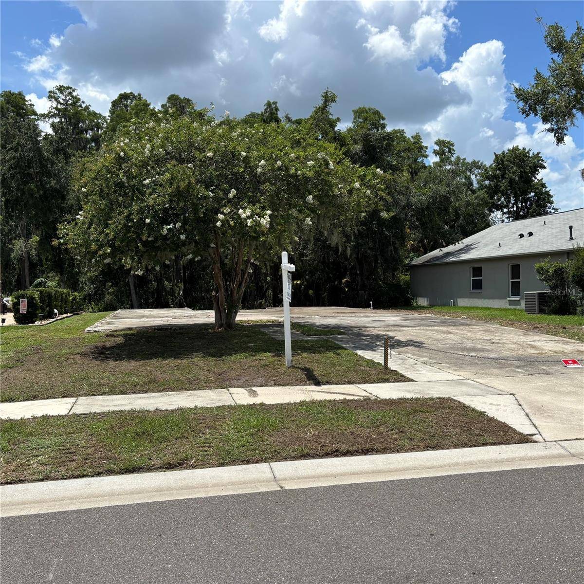 1323 BAYTHORN DR, Wesley Chapel, FL 33543