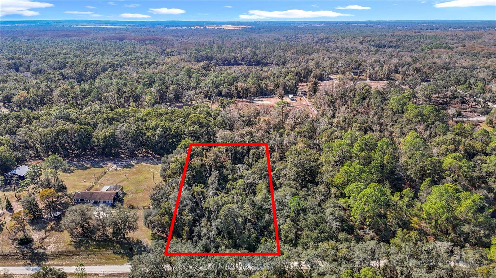7241 SONIA AVE, Webster, FL 33597