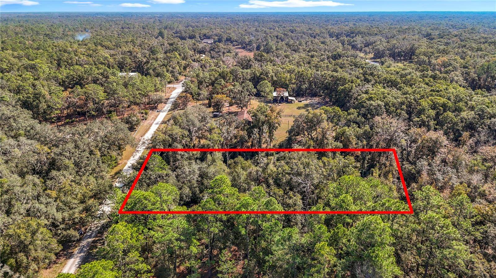 7241 SONIA AVE, Webster, FL 33597