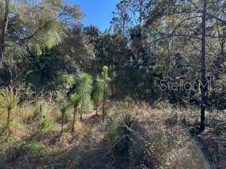 7991 N TINY LILY DR, Citrus Springs, FL 34434