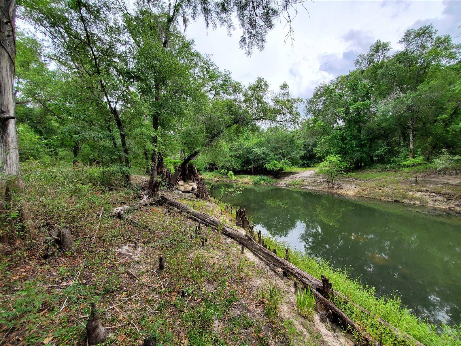 RINGWALT DR, Dade City, FL 33523