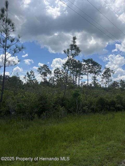 00 RAMSEY RD, Brooksville, FL 34614