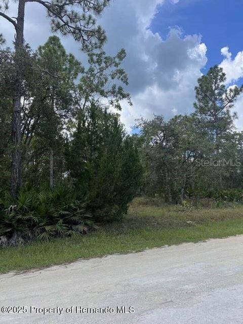 00 RAMSEY RD, Brooksville, FL 34614