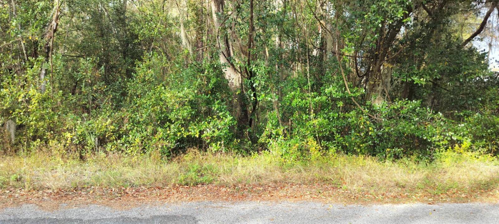 965 S SALLY TER, Inverness, FL 34452
