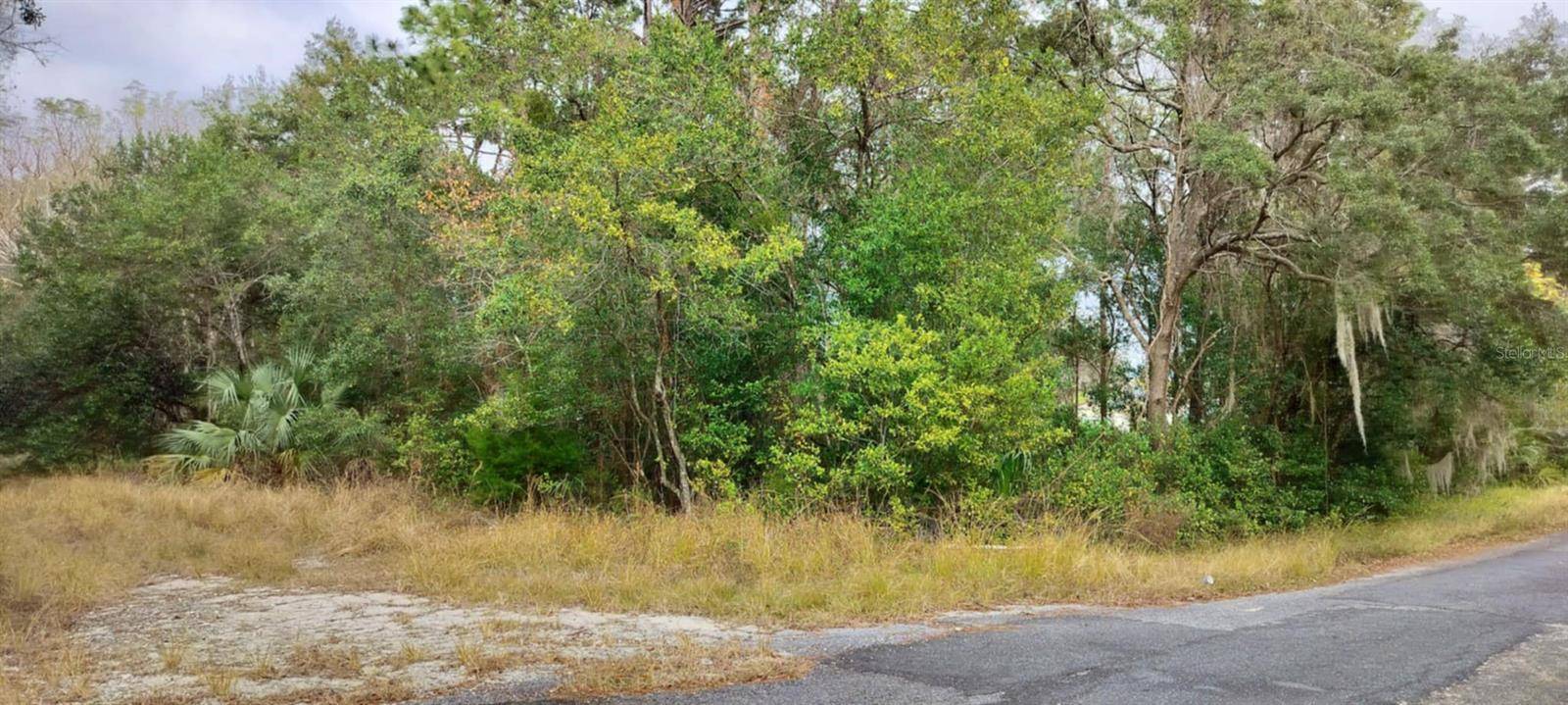 965 S SALLY TER, Inverness, FL 34452