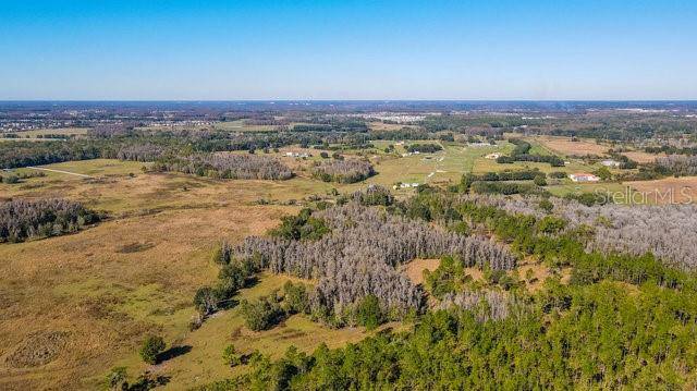 17301 MORRIS BRIDGE RD, Thonotosassa, FL 33592