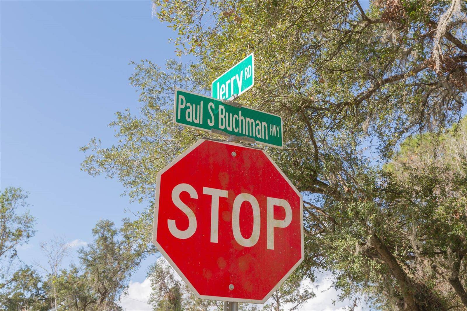 2050 PAUL S BUCHMAN HWY, Zephyrhills, FL 33540