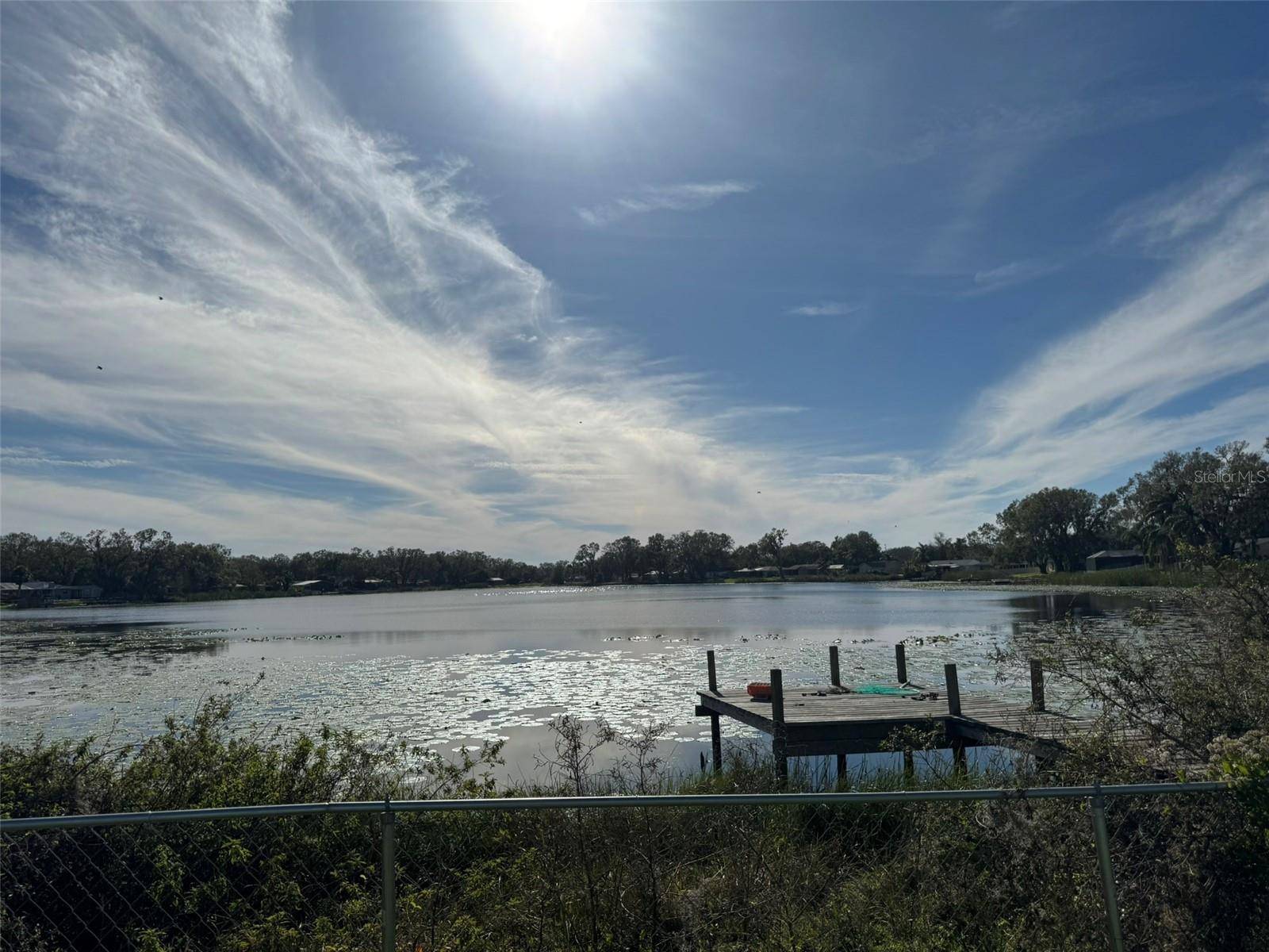 3922 LAKE JOYCE DR, Land O Lakes, FL 34639