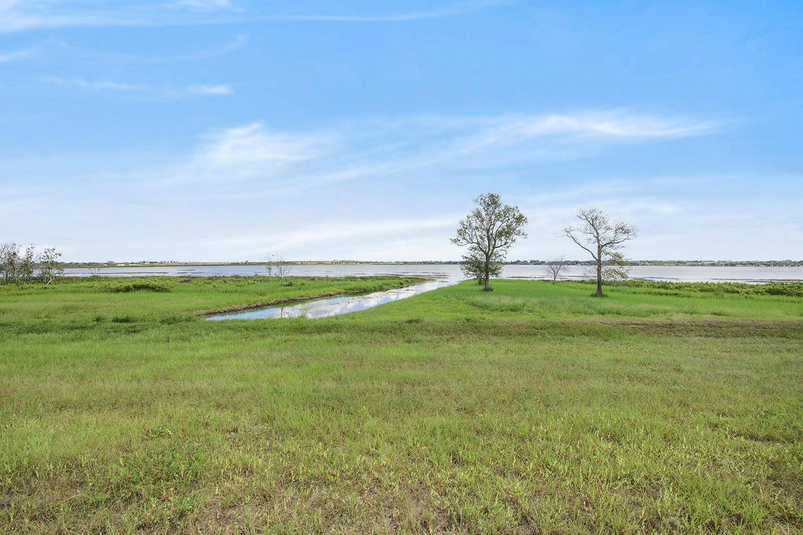 288 CALADIUM AVE, Lake Alfred, FL 33850