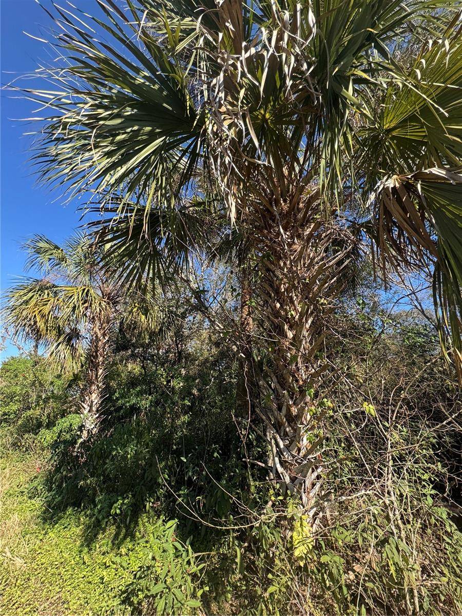 194 RAY ST, Port Charlotte, FL 33954