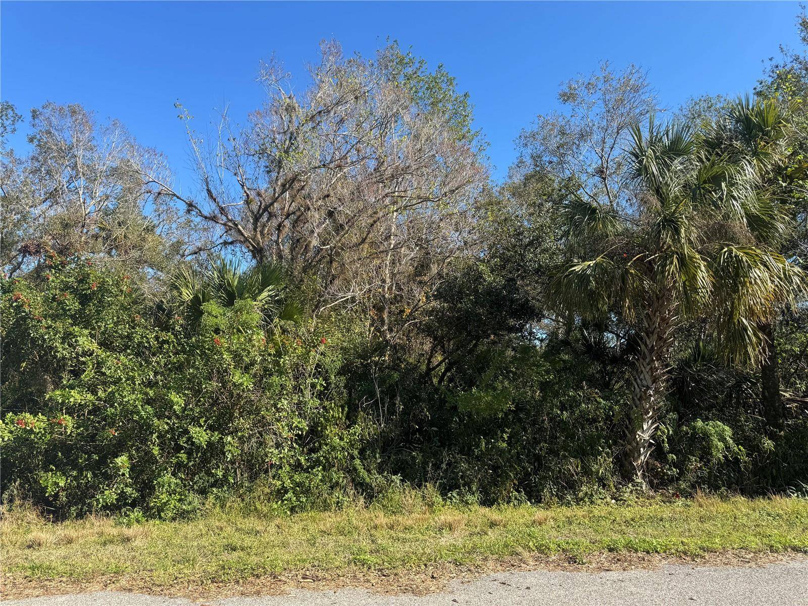 194 RAY ST, Port Charlotte, FL 33954