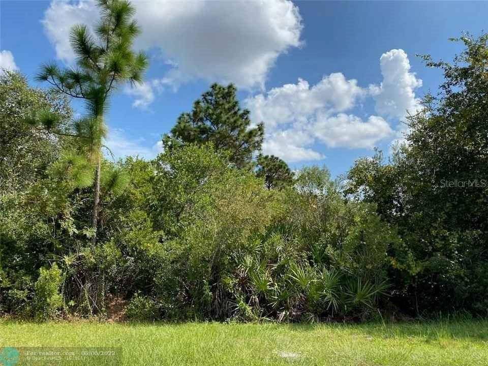 MANATEE WAY, Kissimmee, FL 34759