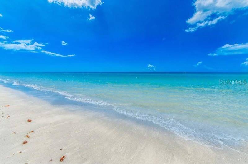 1270 GULF BLVD #304, Clearwater, FL 33767