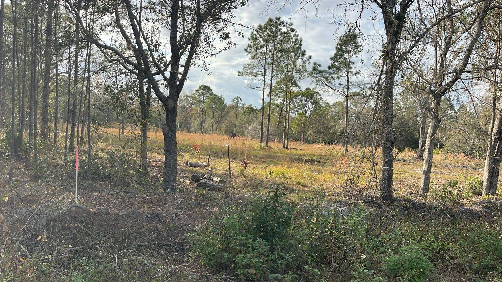 KELLY RIDGE RD, Frostproof, FL 33843