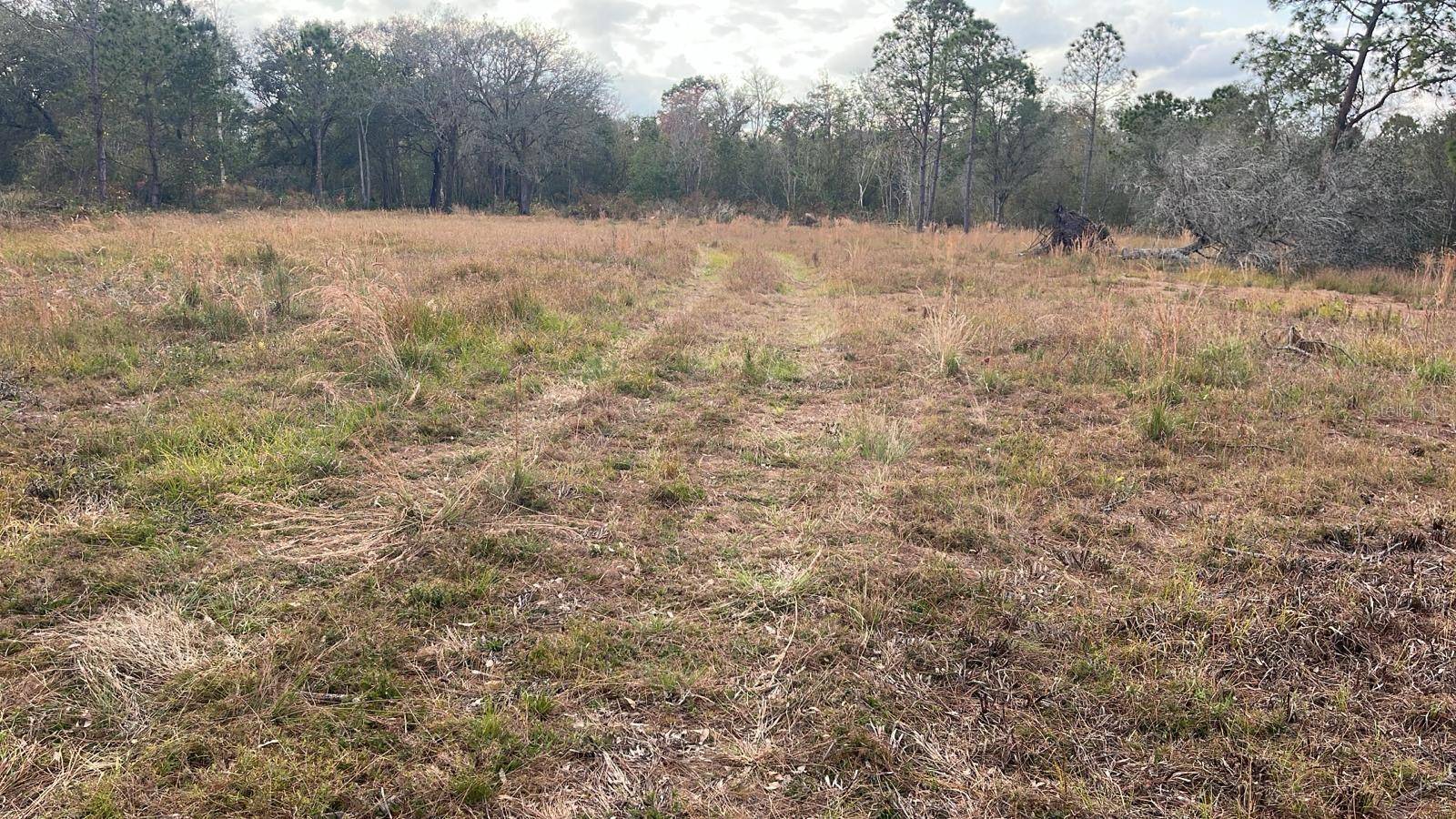 KELLY RIDGE RD, Frostproof, FL 33843