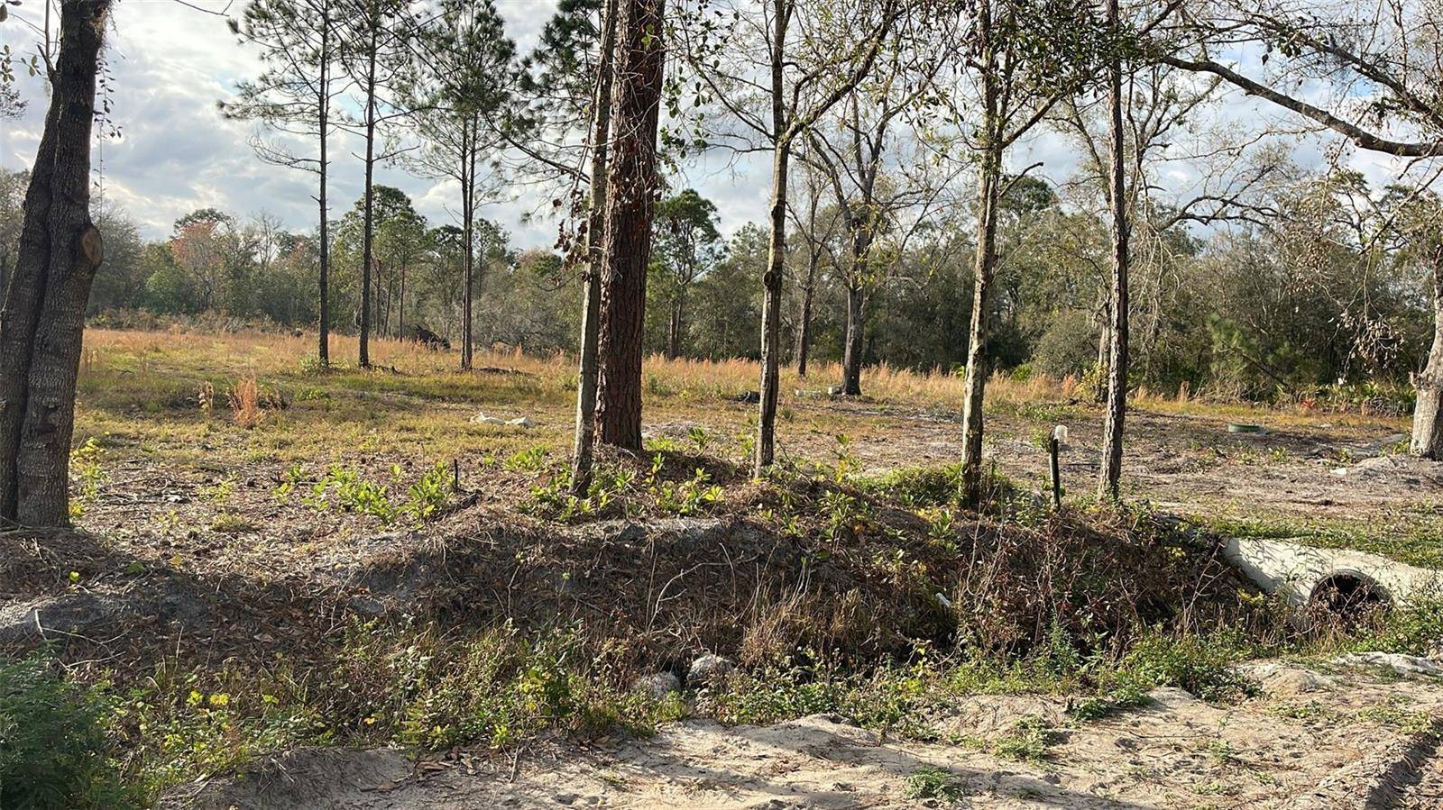 KELLY RIDGE RD, Frostproof, FL 33843