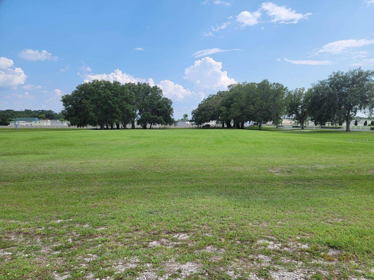 39735 CHANCEY RD, Zephyrhills, FL 33542