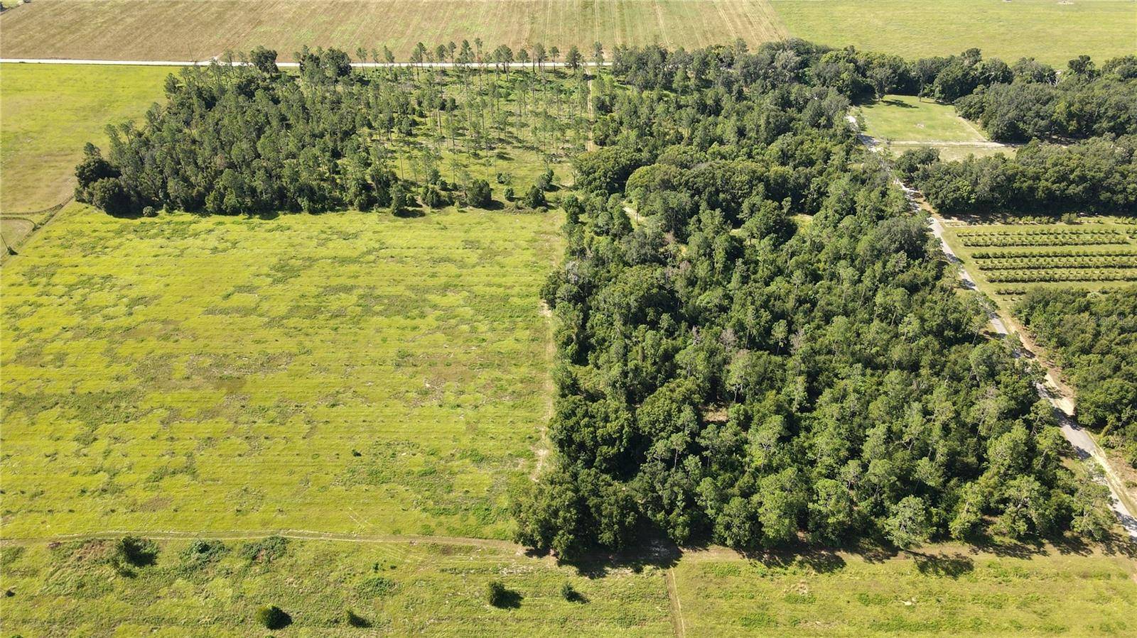 AMBERLEA RD, Dade City, FL 33523