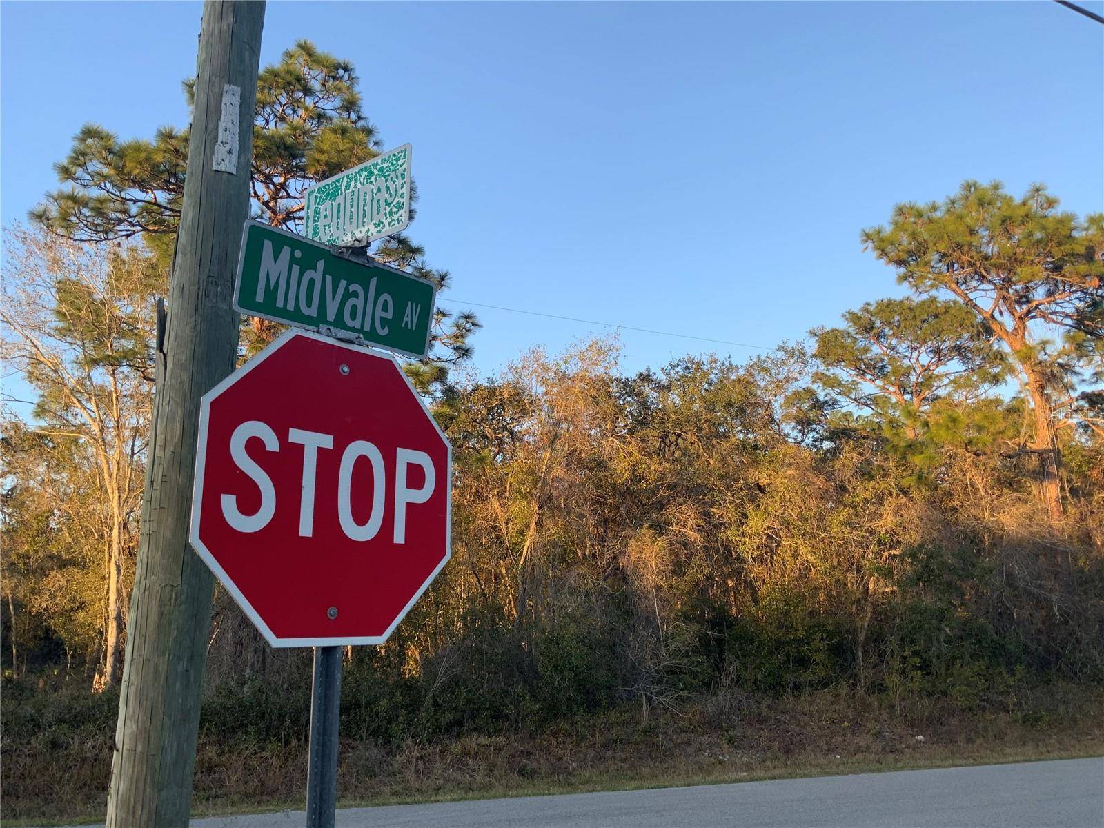 12842 MIDVALE AVE, New Port Richey, FL 34654