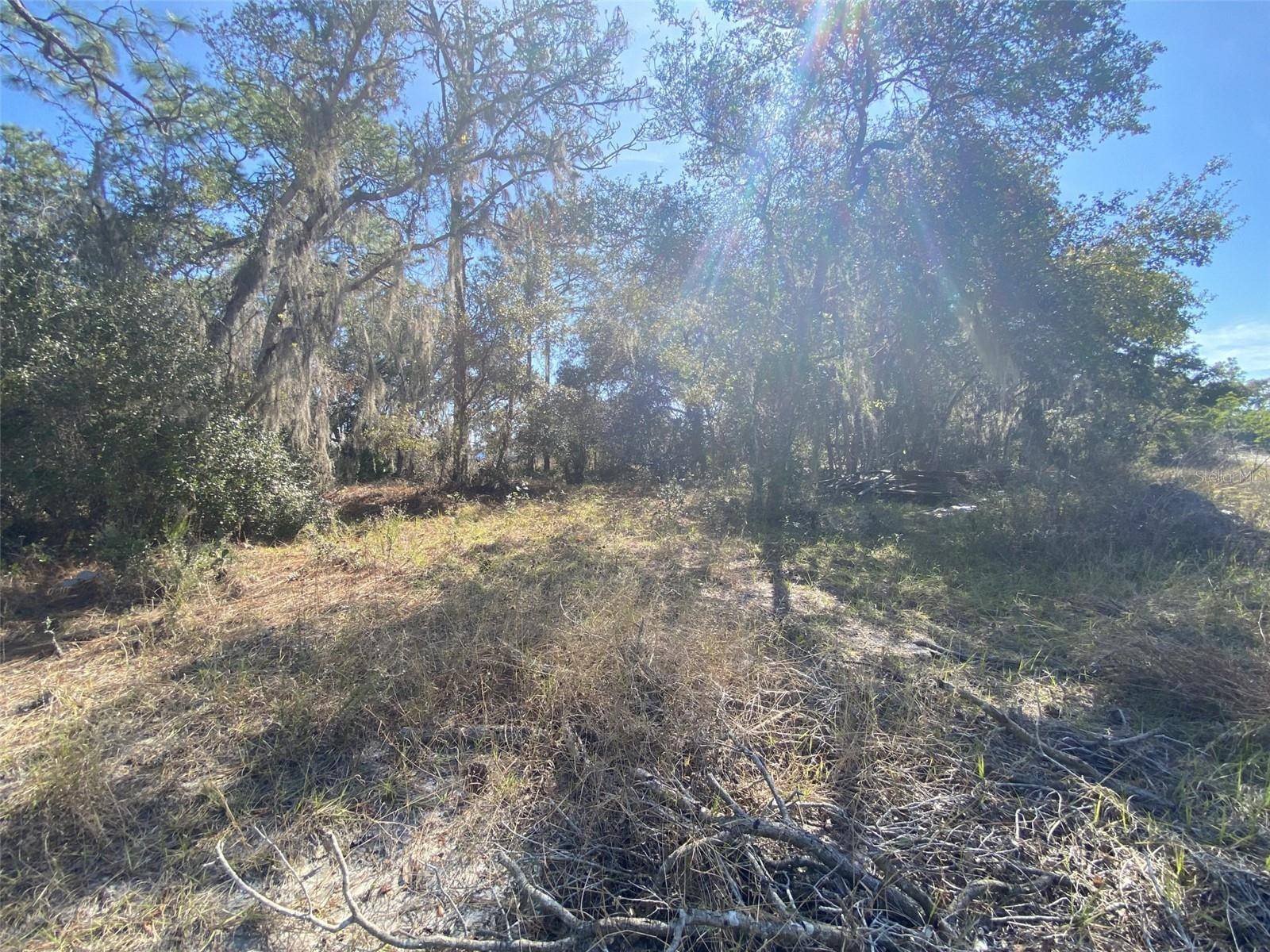 1203 VERNON LN, Kissimmee, FL 34759