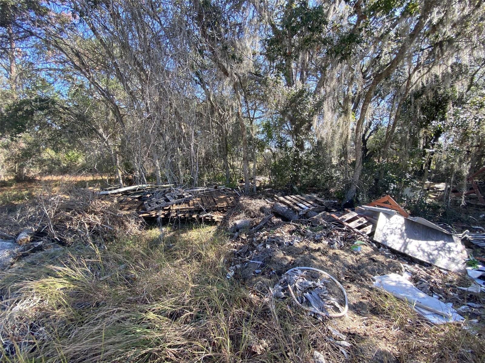 1203 VERNON LN, Kissimmee, FL 34759