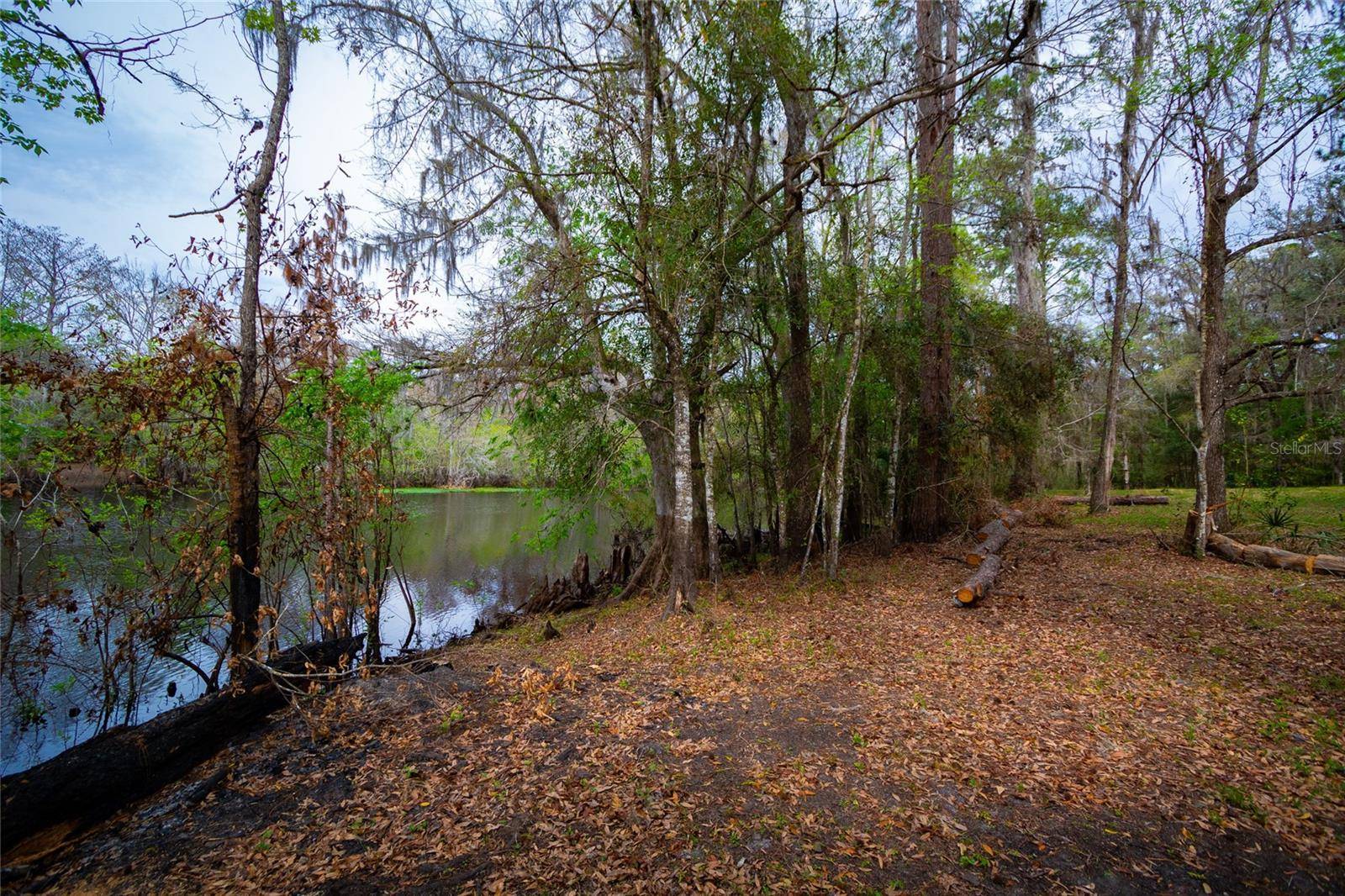 7822 CR 647, Bushnell, FL 33513