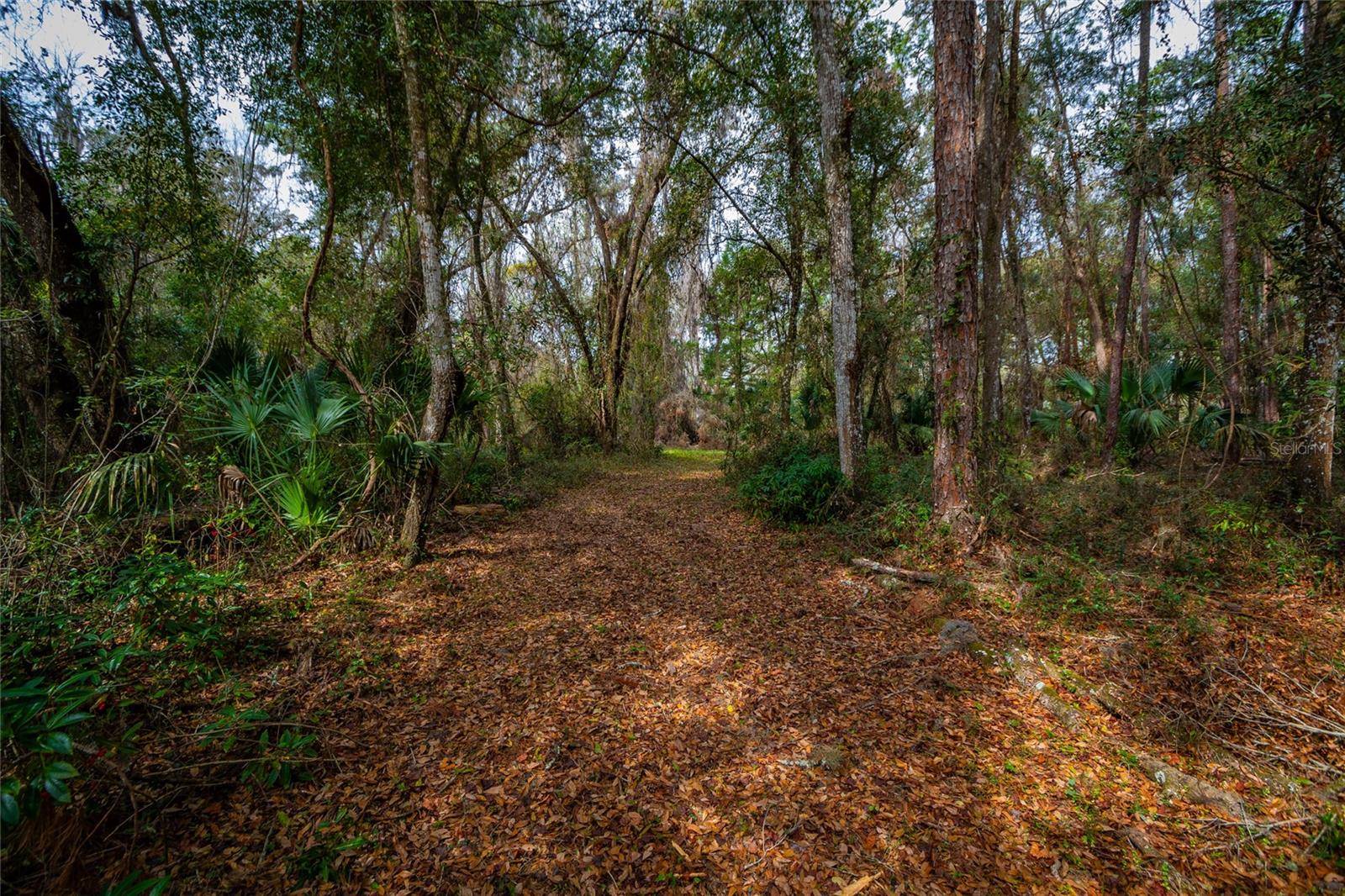 7822 CR 647, Bushnell, FL 33513