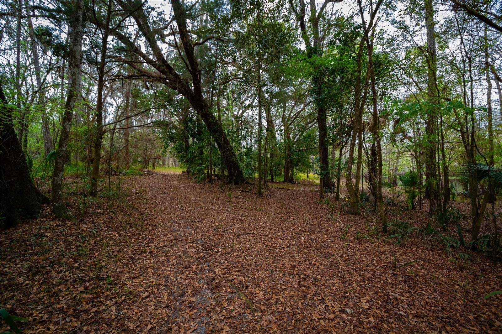 7822 CR 647, Bushnell, FL 33513