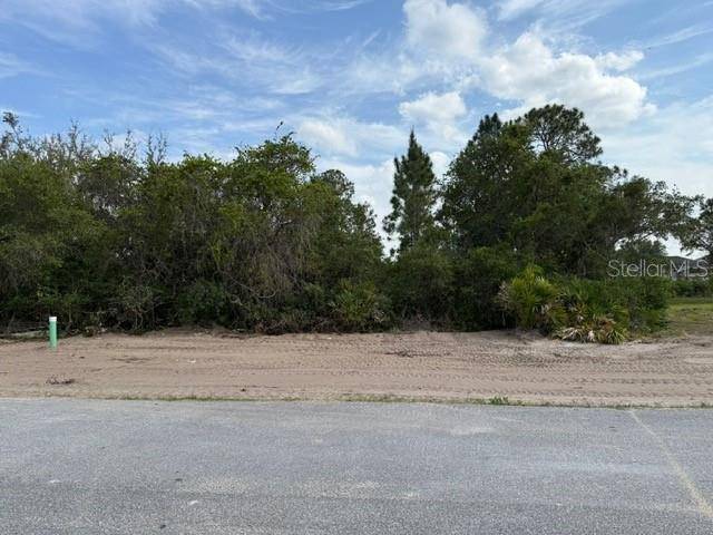 1649 REDFIN DR, Poinciana, FL 34759