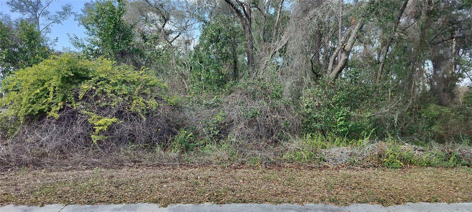 204 ADELPHI ST, Inverness, FL 34452