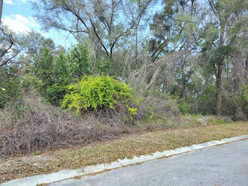 204 ADELPHI ST, Inverness, FL 34452