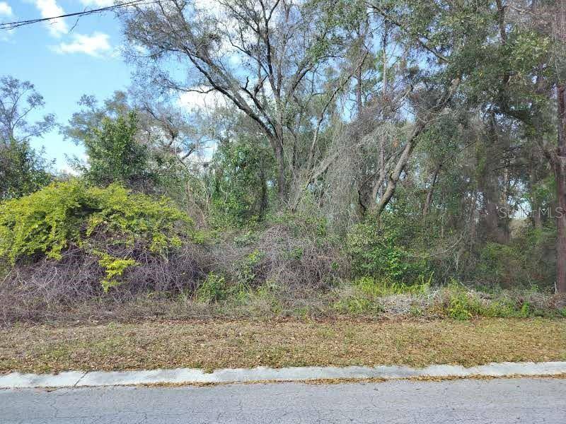 204 ADELPHI ST, Inverness, FL 34452