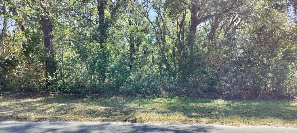 517 S SAVARY AVE, Inverness, FL 34453