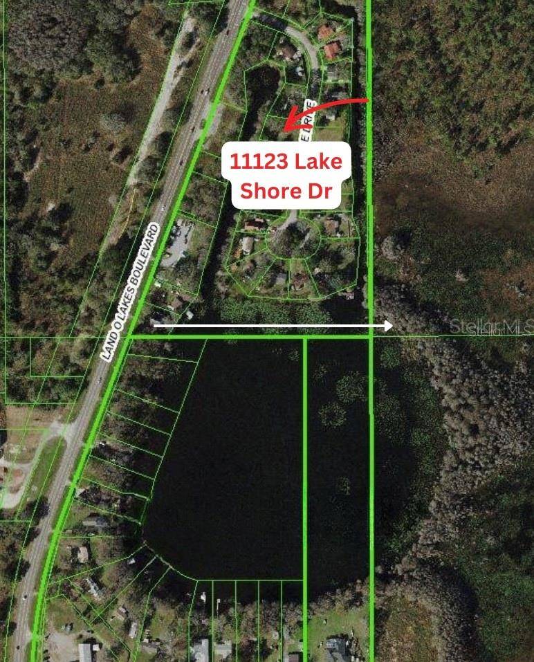 11123 LAKE SHORE DR, Land O Lakes, FL 34637