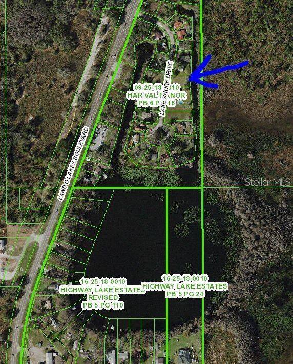 11124 LAKE SHORE DR, Land O Lakes, FL 34637